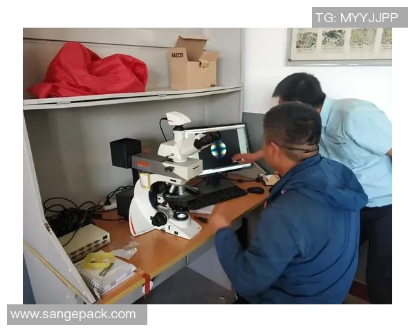 上海极限运动队实力解析与对比探讨全景分析 上海极限运动队实力解析与对比探讨全景分析