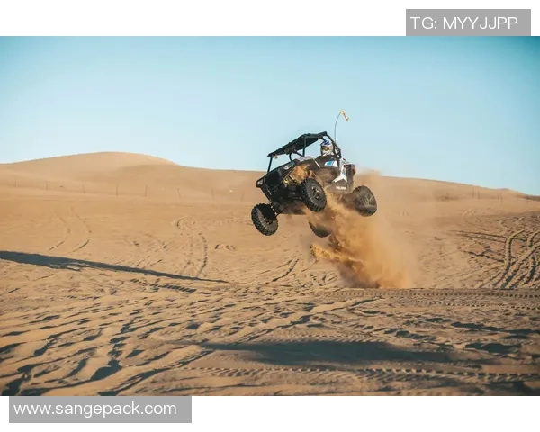 极限运动的魅力：深入南京极限运动队的技术与训练揭秘