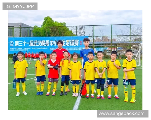 武汉足球队运营新模式探讨与发展前景分析 武汉足球队运营新模式探讨与发展前景分析