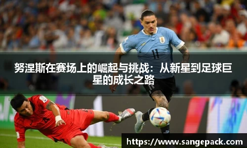 努涅斯在赛场上的崛起与挑战：从新星到足球巨星的成长之路